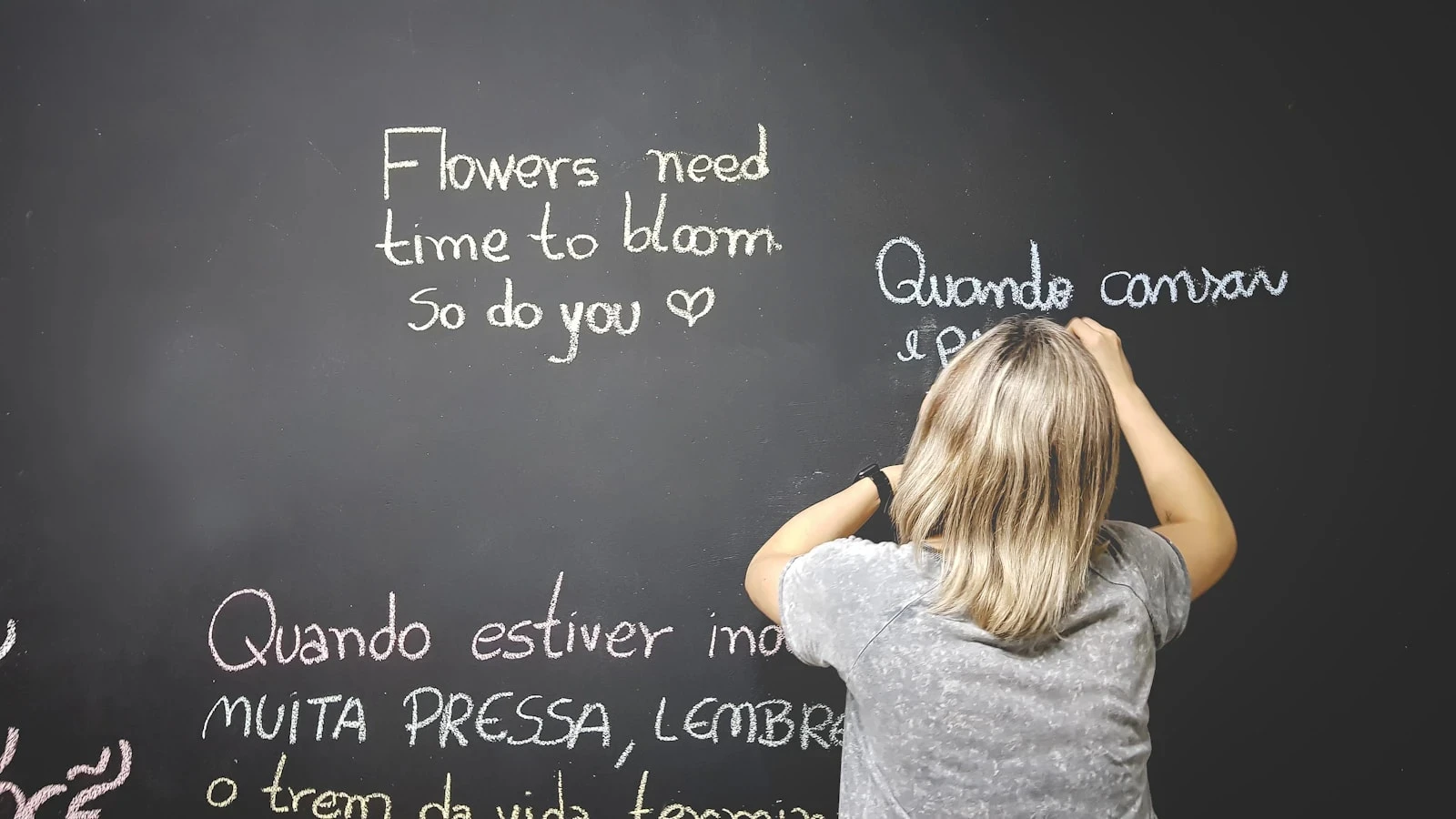 Bachelor of French and Professional Communication