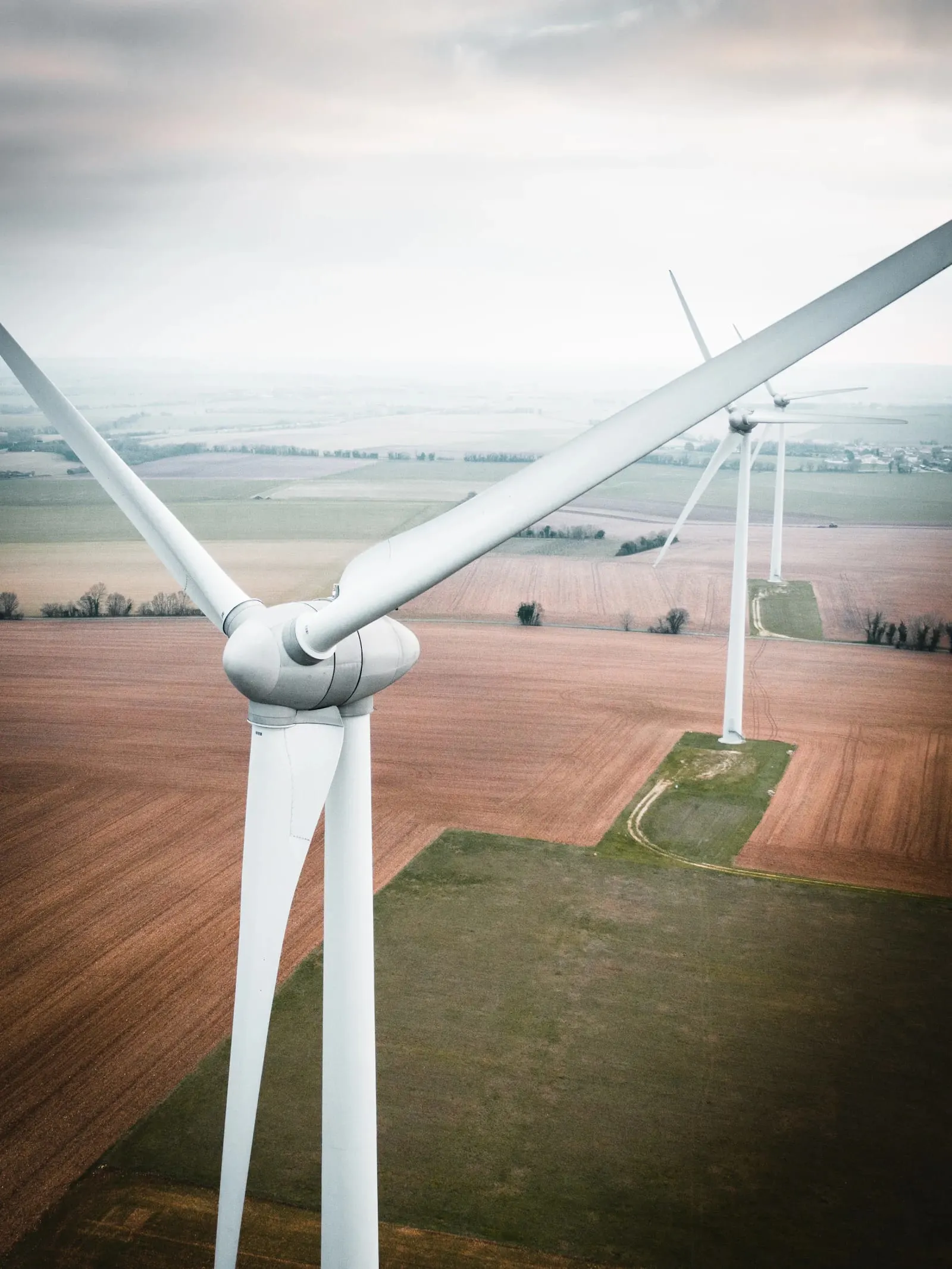 Certificate in Energy Economics