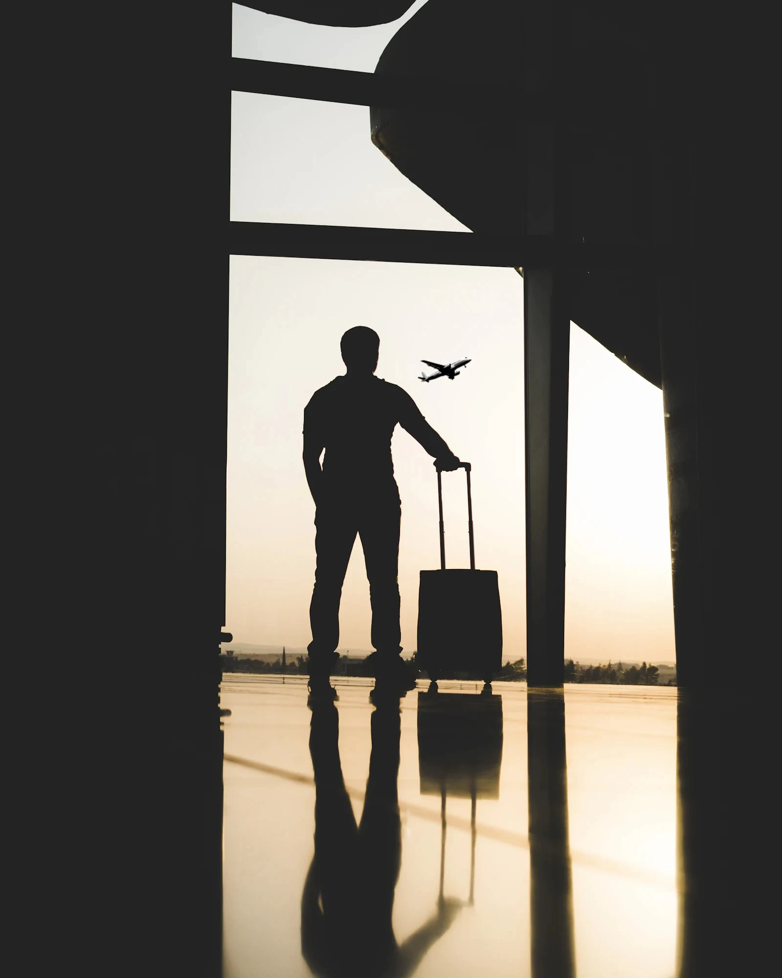 Certificate in Airport Passenger Flow Management