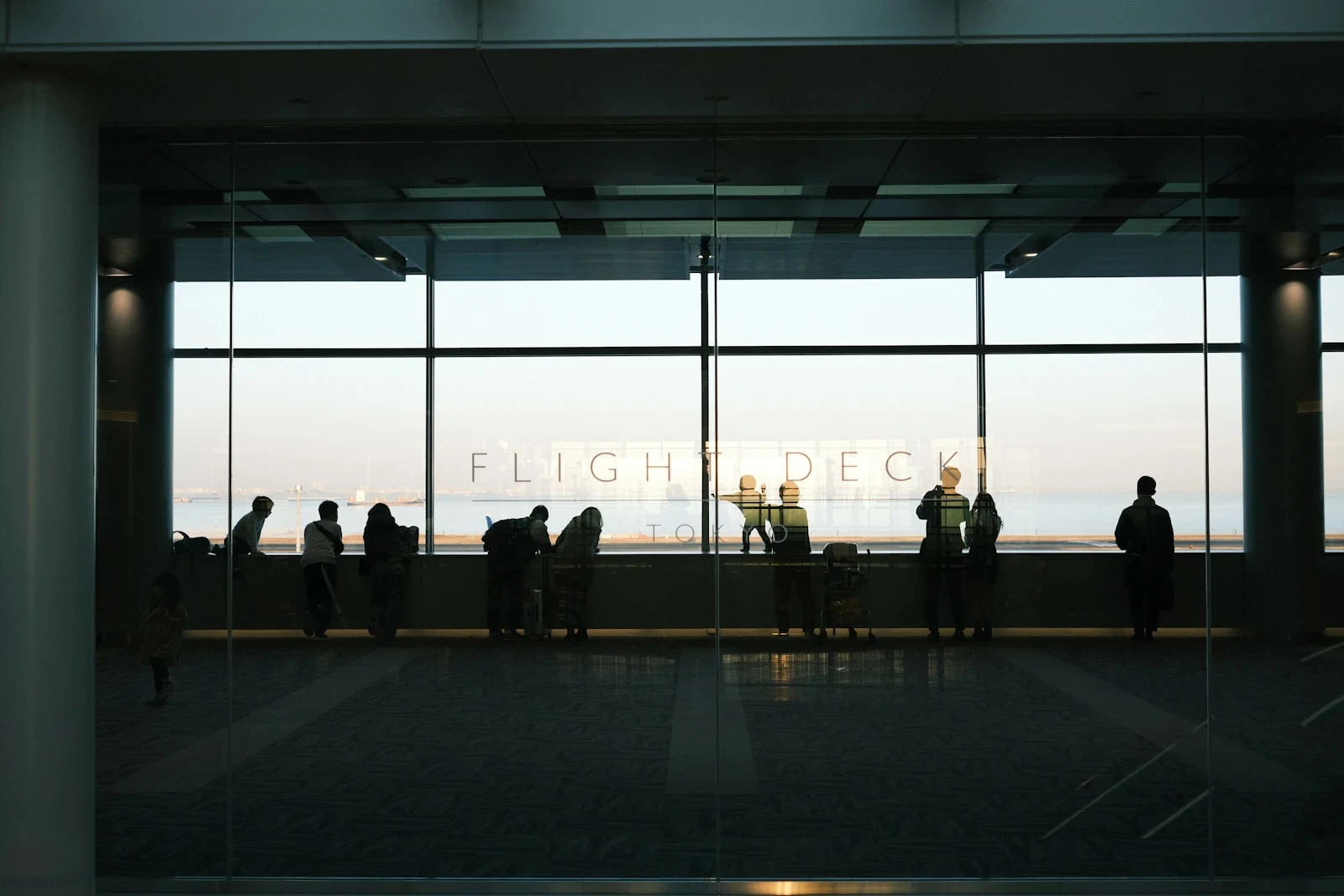 Certificate in Aviation Logistics Basics