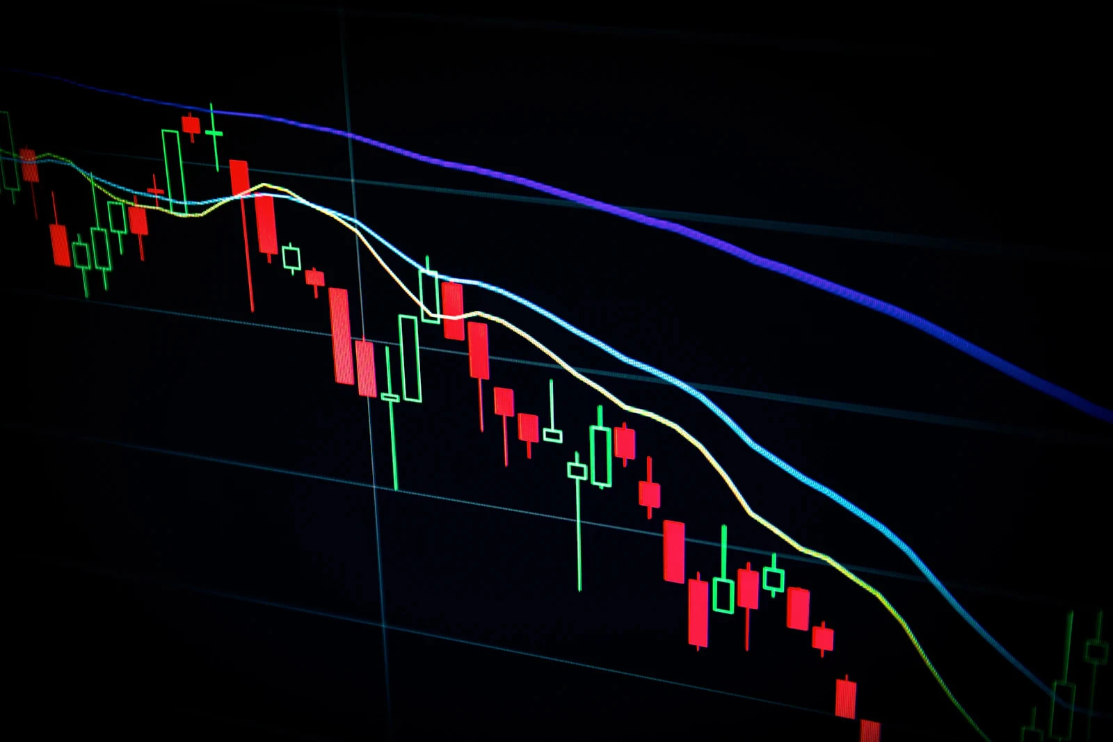 MSc in Accounting & Finance