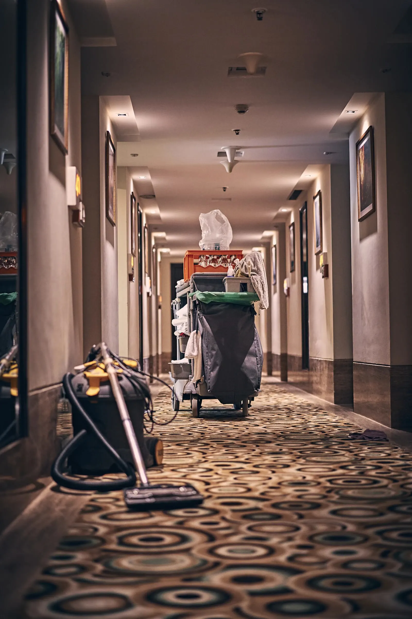 MSc in Hospitality Industry Analysis