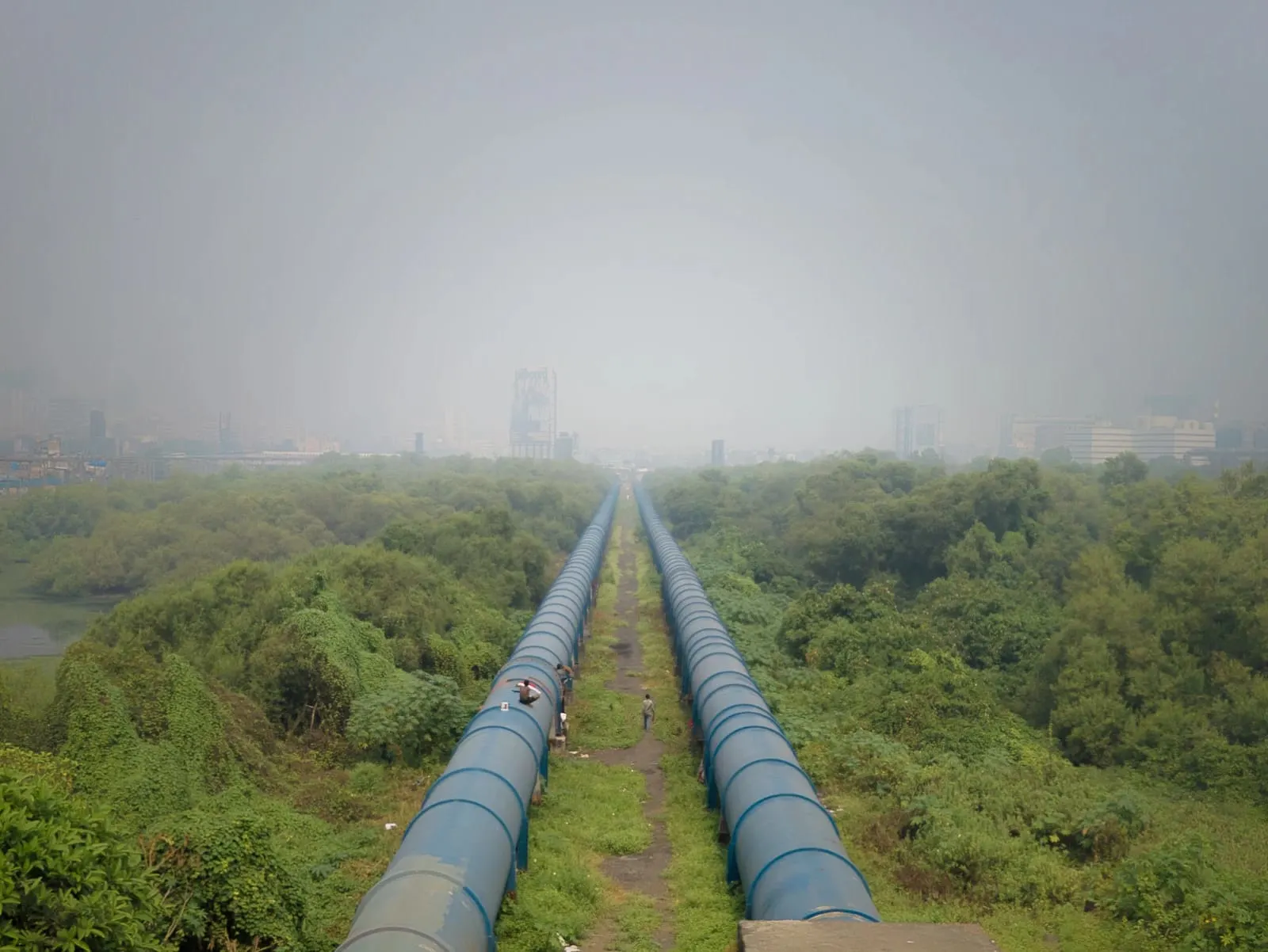 Bachelor of Oil and Gas Executive Studies