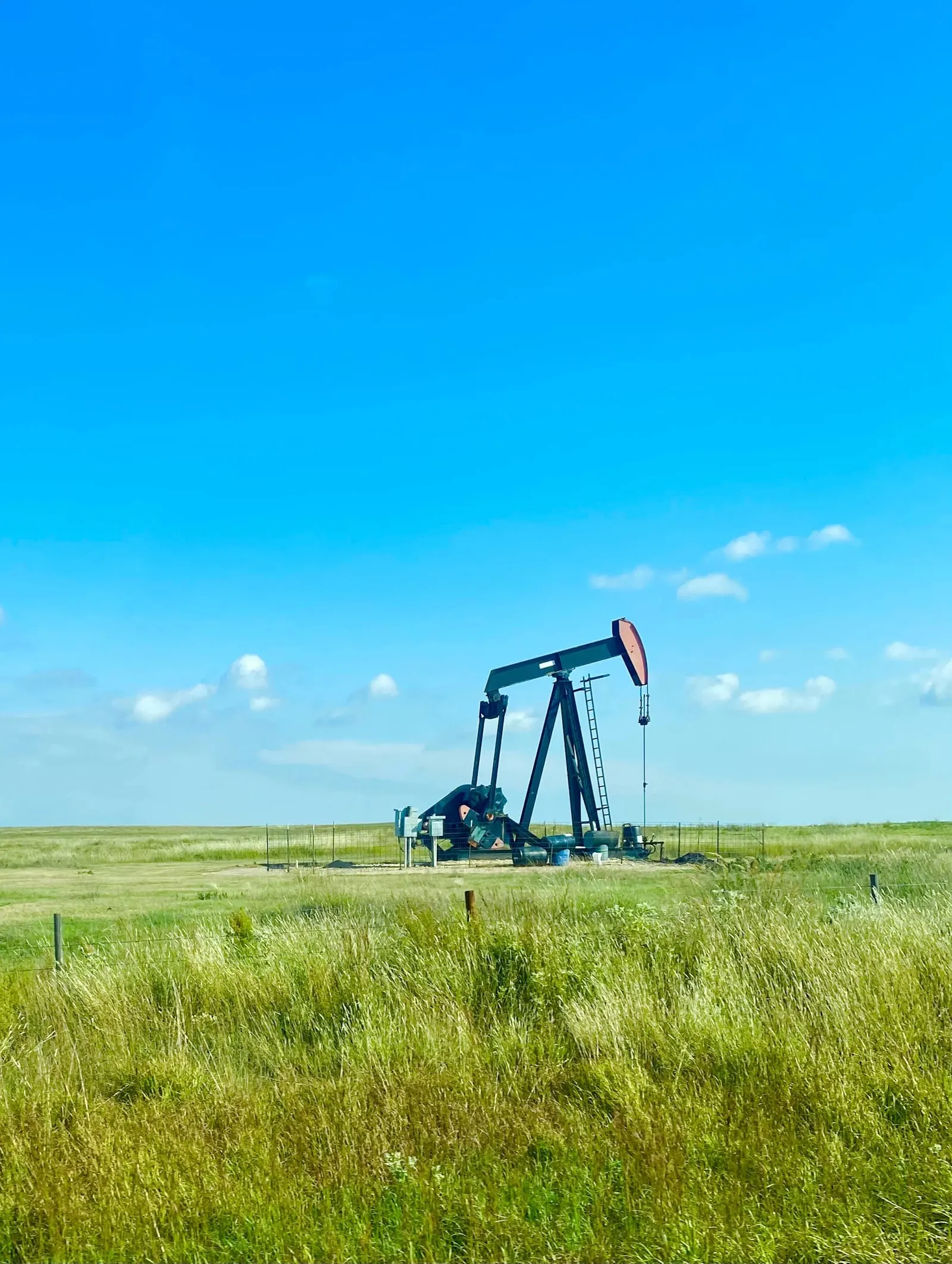 Certificate in Petroleum Management