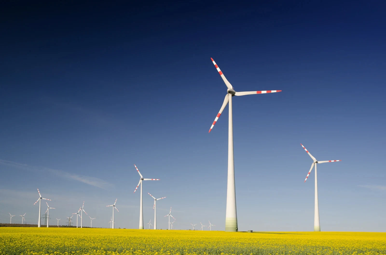 Master of Energy Transition and Climate Strategy