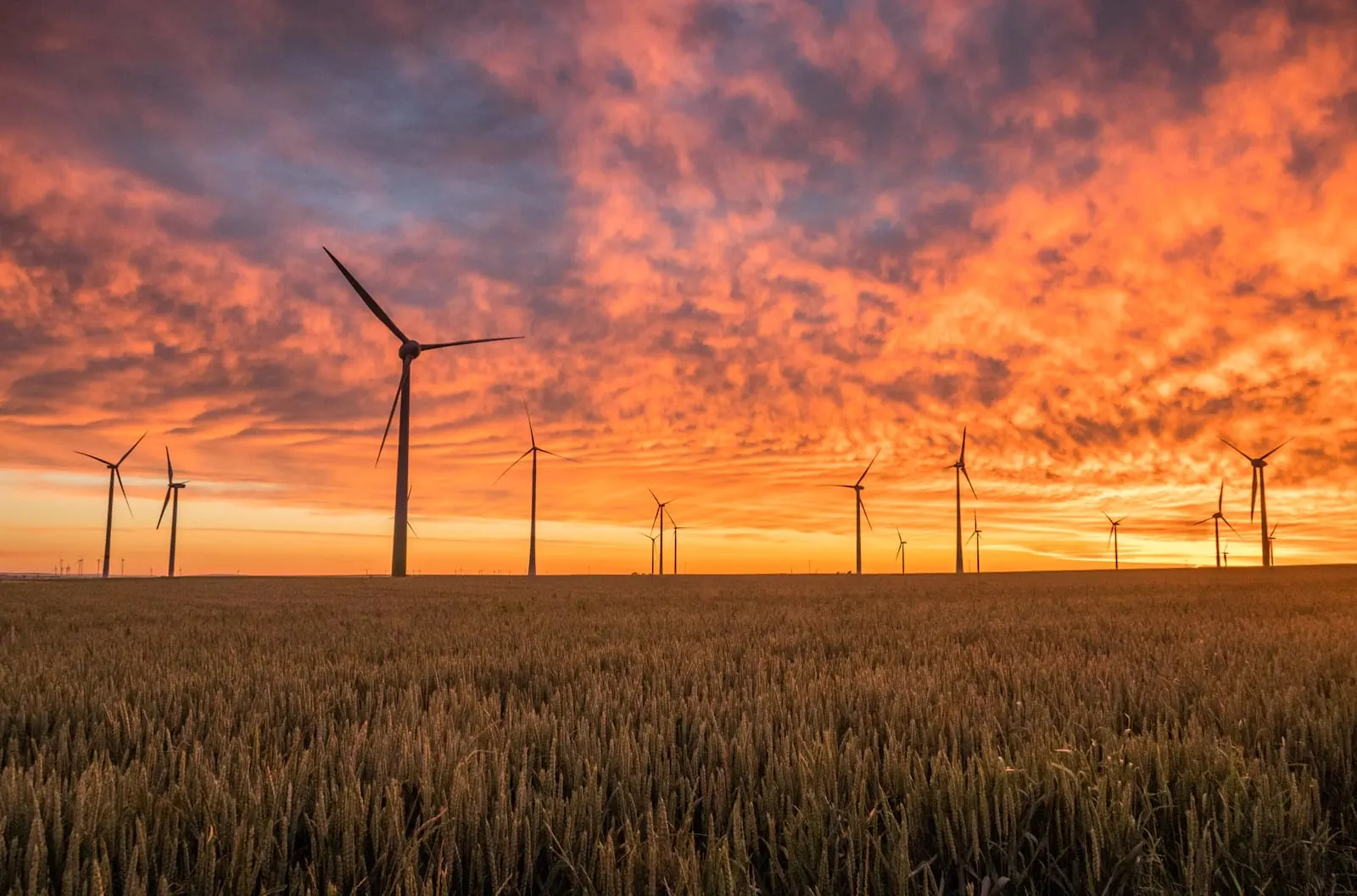 Certificate in Energy Policy Development