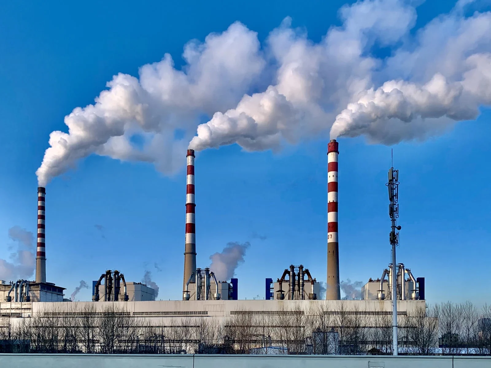 MSc Carbon Management and Net-Zero Strategy