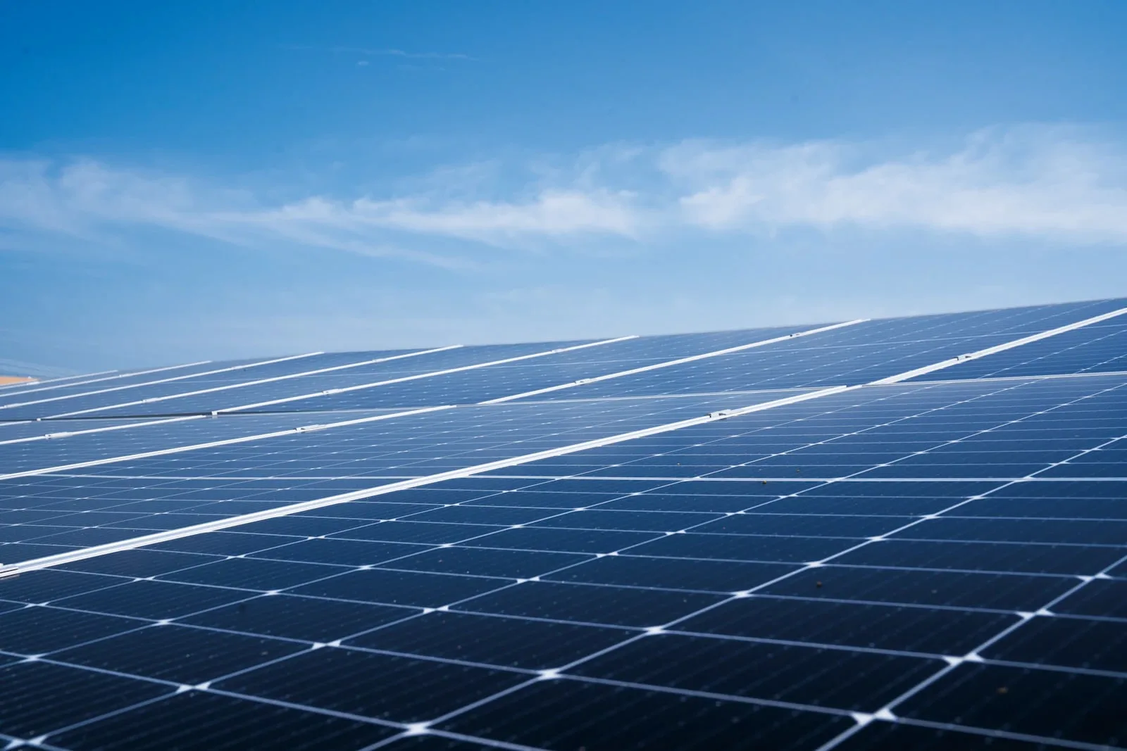 MSc in Carbon Management and Reporting