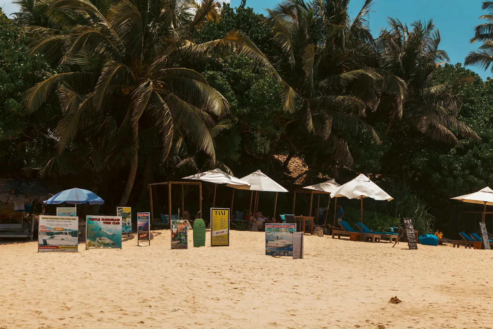 BA in Tourism Branding and Identity (Strategic Pathway)