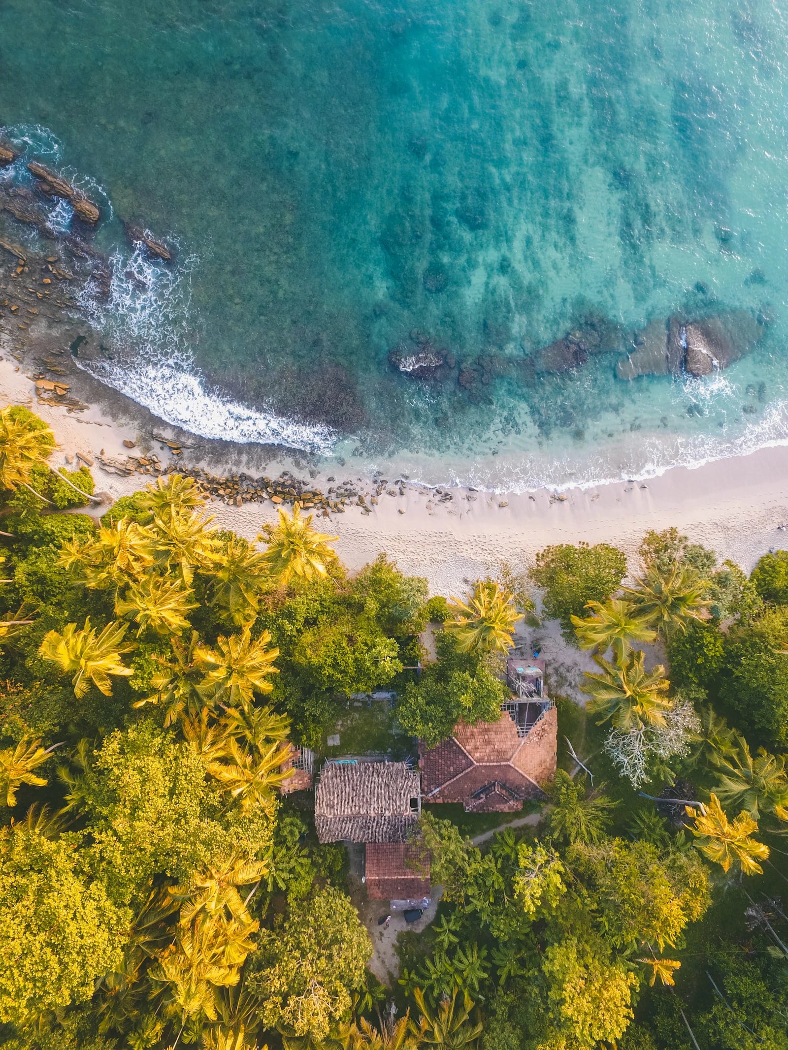 Certificate in Travel Industry Operations