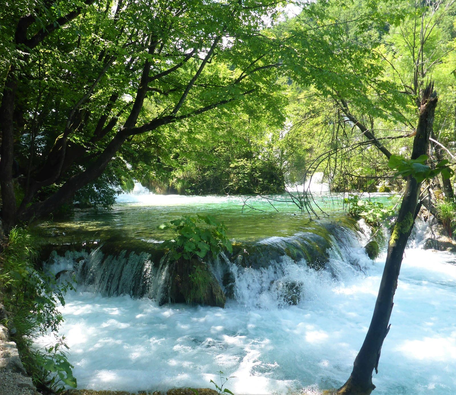 Diploma in Tourism Cultural Economy