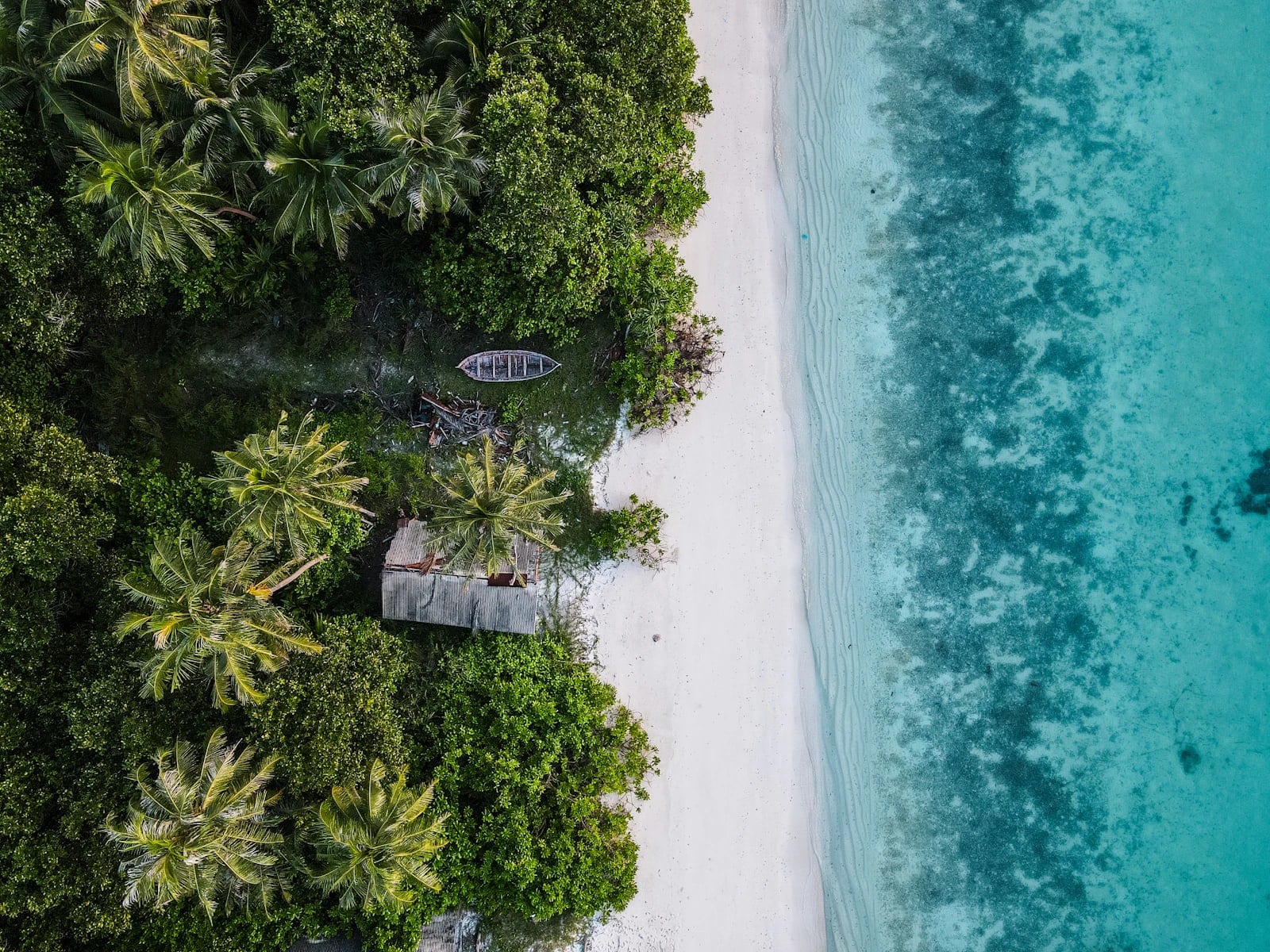 MSc in Tourism Digital Ecosystems