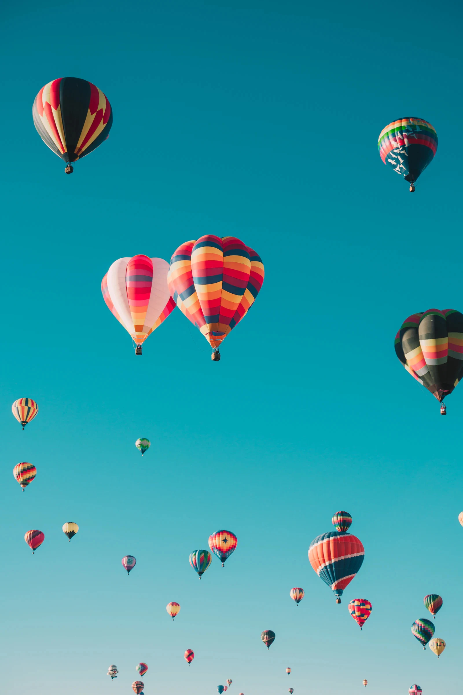 MSc in Tourism Digital Transformation