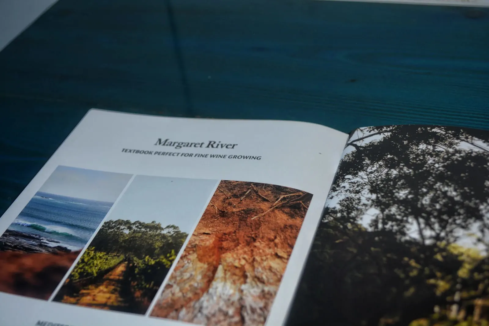 MSc in Tourism Marketing Strategy